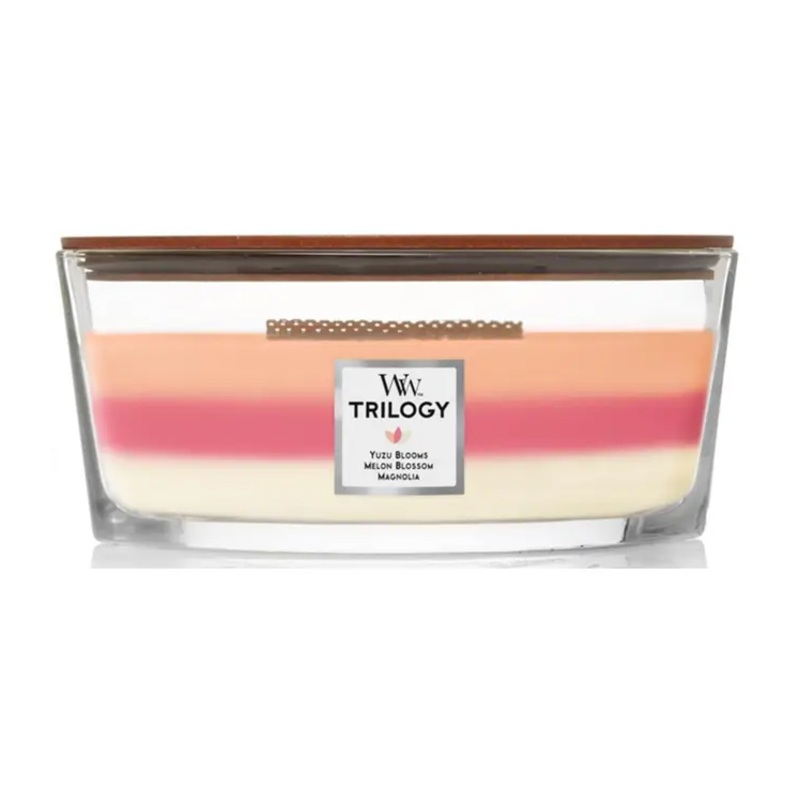 WoodWick Ellipse Candle – Blooming Orchard